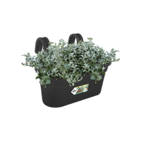 green basics easy hanger large living schwarz